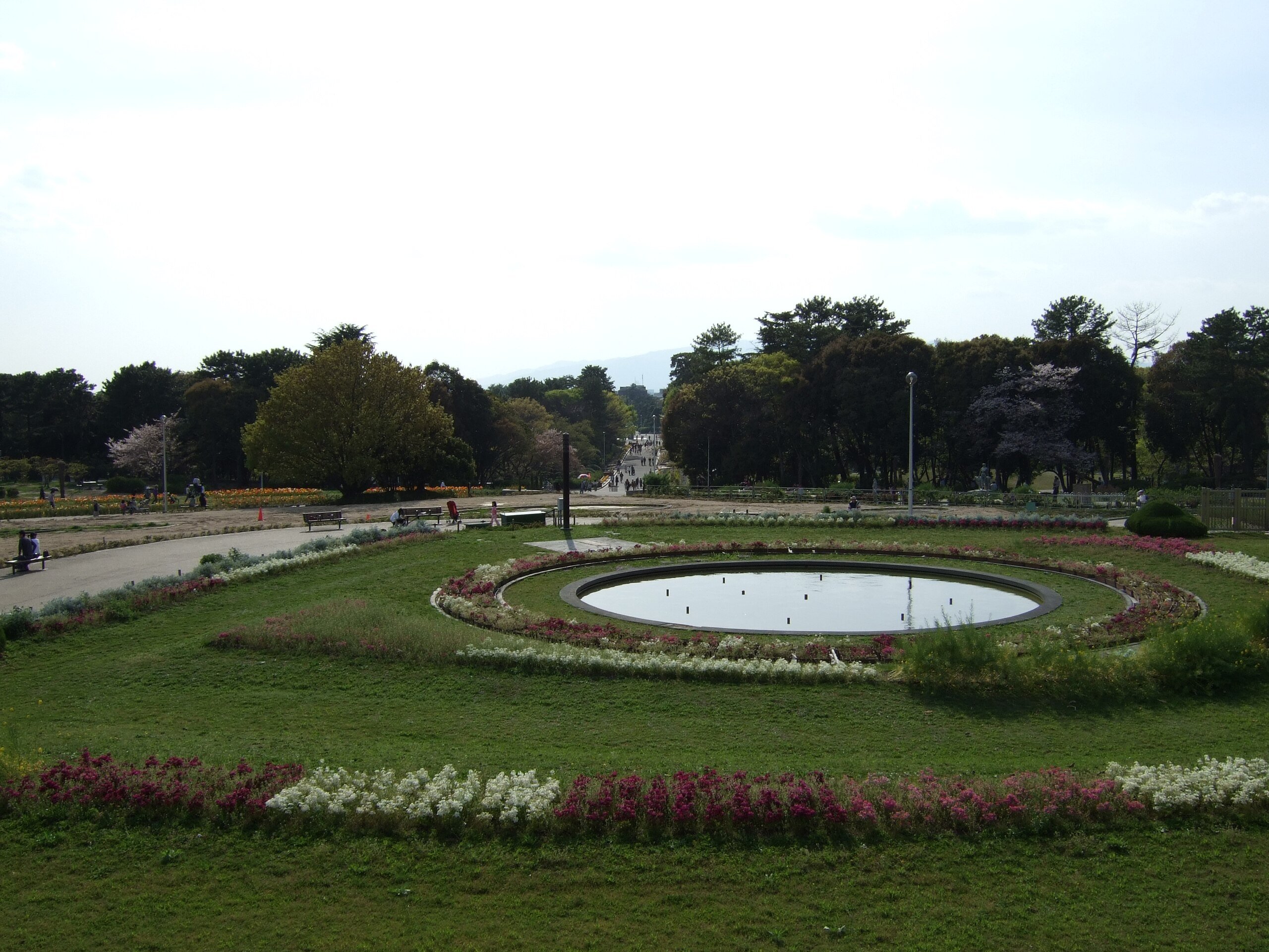 🌳 핫토리 녹지(핫토리 료쿠치 코엔) 이미지 7